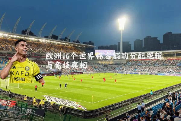 欧洲16个世界杯名额的分配逻辑与竞技真相